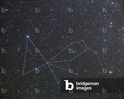 when was the constellation introduced